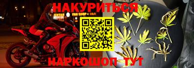 гашик Малоярославец