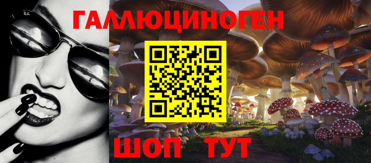 Верхний Уфалей  Галлюциногенные грибы Psilocybe  наркотики  Вход с VPN 